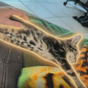 looooooooong