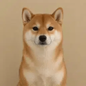 SI