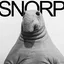 Snorp