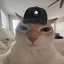 METCAT