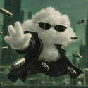Neo