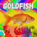 goldfish