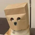 ZDOG / ZEC