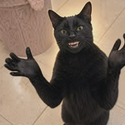 ClapCat / SOL