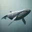 WHALE
