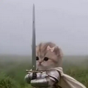 swordcat