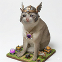 CLASHCAT