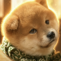 Mamesuke / SOL