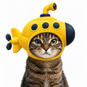CATWIFSUUB