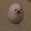 EGGDOG