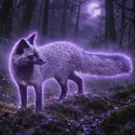 Fox / SOL