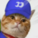 fomocat / SOL