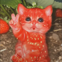 BERRYCAT
