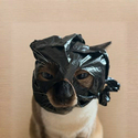 WIFBAG