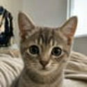 TILLY