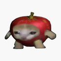 AAPLCAT