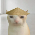 CHAT / SOL