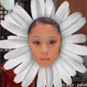 Petal