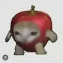AAPLCAT