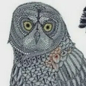 OWL / SOL