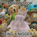 RACIST / SOL