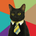 BIZCAT / SOL