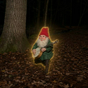 Gnomes / SOL
