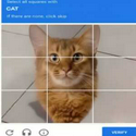 CATCHA / GOOGLx