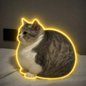 CATBALL