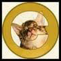 CATE / USDT