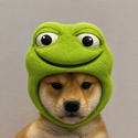 WIFTOAD