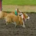 GG