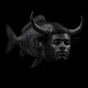 FISHSEM