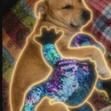 Jerry