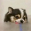 Mochocho