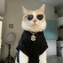 CATDAY