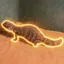 LIZARD
