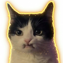 Orion
