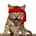 RKC / CATE
