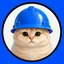 BASECAT