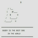 Buddy
