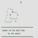 Buddy