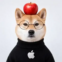 iNu / iCoin
