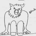 SKINWALKER / SOL