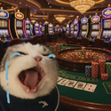 casino / AVGOx