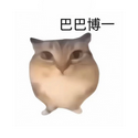Bababoi