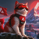 ACAT / SOL
