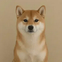 Inu