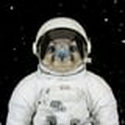 Falcon9