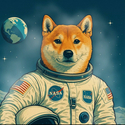 MOONDOGE / USDC